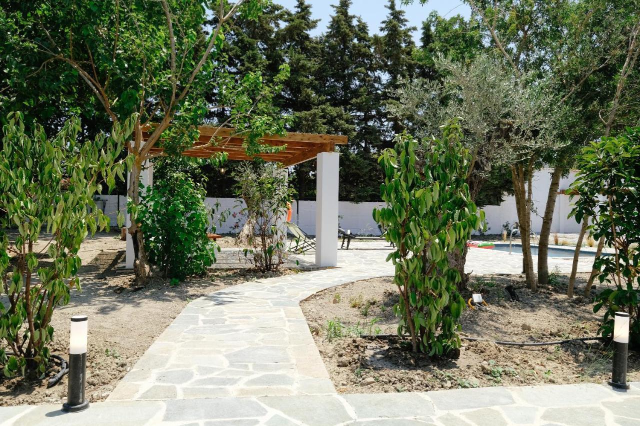Elia Suites Ialysos  Exteriér fotografie